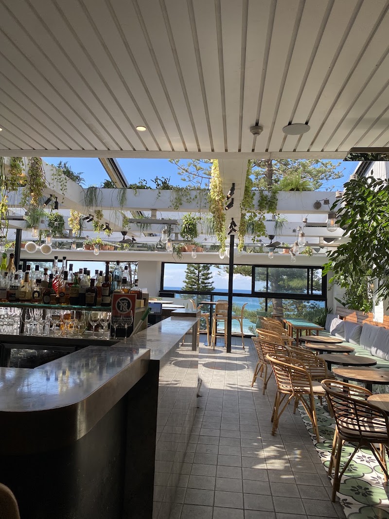 Manly Greenhouse 4